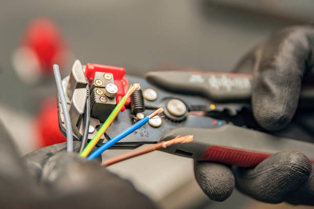 Best Licensed Electrician  in Milmay, NJ